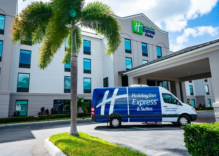 Holiday Inn Express & Suites Tampa Northwest-Oldsmar By Ihg